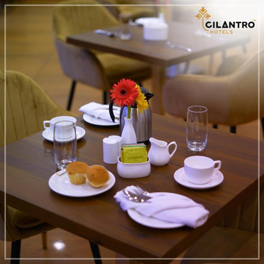 Cilantro Comfort جانجتوك المظهر الخارجي الصورة