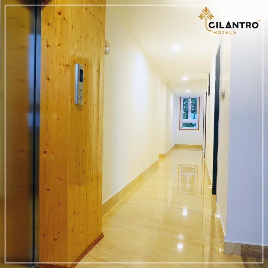 Cilantro Comfort جانجتوك المظهر الخارجي الصورة