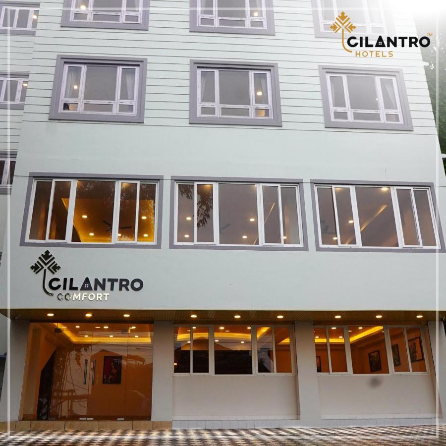 Cilantro Comfort جانجتوك المظهر الخارجي الصورة