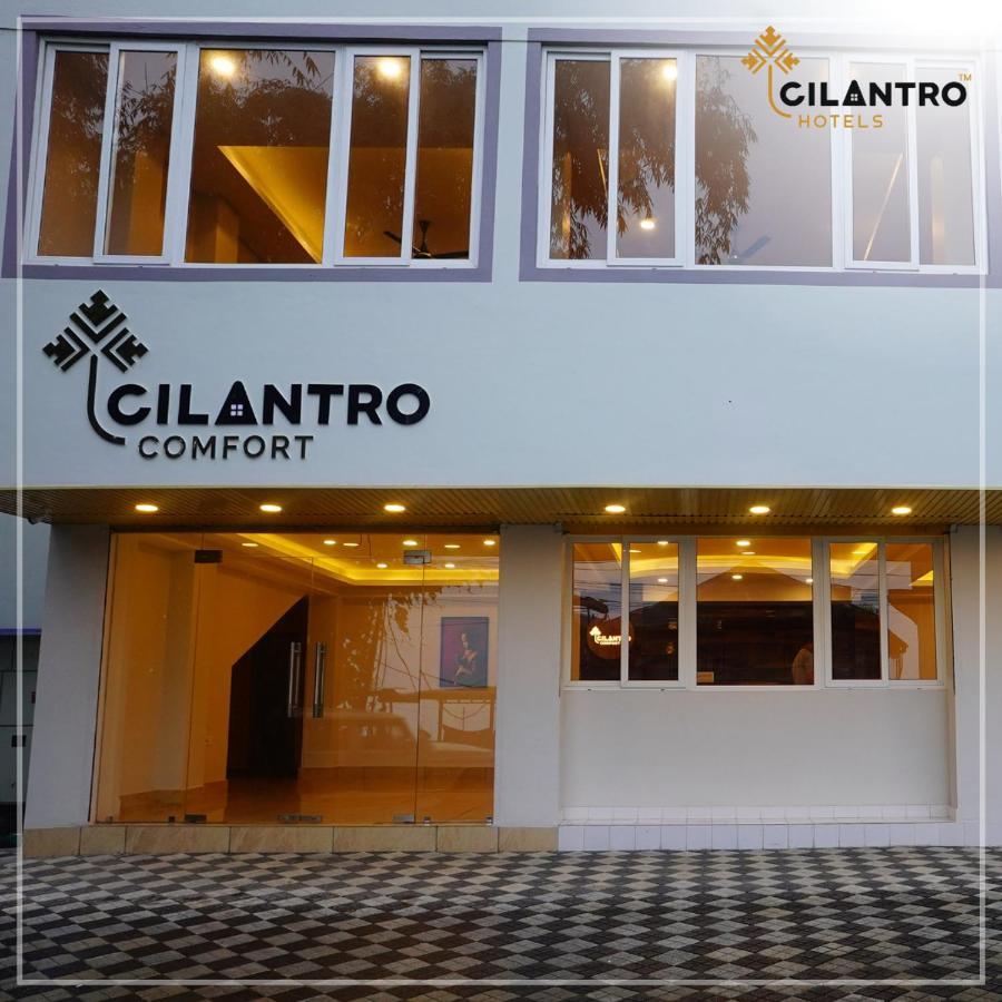 Cilantro Comfort جانجتوك المظهر الخارجي الصورة